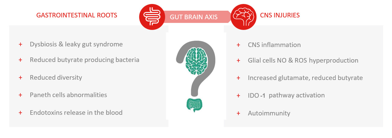 Gut Brain axis